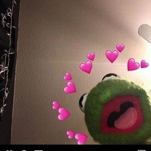 Meet your Posher, Molly